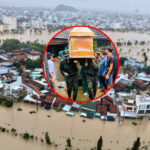 Tem tém giùm mấy cái thảm đỏ, liên hoan, hoa hậu, hội hè trong những ngày này