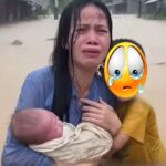 Những tiếng kêu giữa nước lạnh