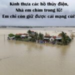 Không thể hiểu được…