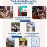 Tôi không còn ngạc nhiên về bất kỳ điều gì trong môi trường giáo dục và xã hội nữa