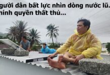 Chuyện lũ lụt: Biến đùm bọc thành một mô hình quản trị là thất bại
