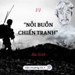 Nỗi buồn nội chiến