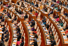 Tổng bí thư, Quốc Hội và khuyết tật