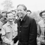 Đời không đẹp như mơ