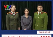 Dân sự hay hình sự: Nhìn từ vụ “Bốn cánh chim trời” và kinh nghiệm quốc tế