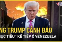 Bao giờ tới Việt Nam?