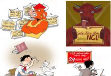 “Ngụy cơ bản” và “ngụy tinh hoa”