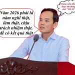 Một năm nữa, sẽ vui thật!