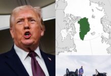 Nhà Trắng trở thành tiết mục tấu hài buổi sáng