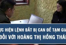 Yêu cầu chấm dứt hành vi xuyên tạc, xâm phạm đời tư đối với gia đình bà Hoàng Thị Hồng Thái