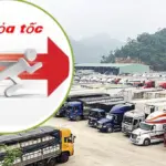 Nghị định 46 là gì mà hàng ngàn doanh nghiệp nhập khẩu thực phẩm kêu la suốt mấy ngày đầu tháng 2/2026?