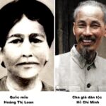 Loạn ngôn, loạn luân hay loạn tư duy?