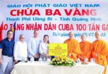 Gạo và lòng tốt (Kỳ 2)