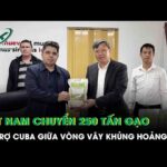 Gạo và lòng tốt (Kỳ 1)