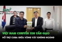 Gạo và lòng tốt (Kỳ 1)