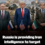 Phải trừng phạt Nga vì đã giúp Iran nhắm mục tiêu vào quân đội Mỹ