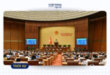 Nhân tài đang ở đâu?