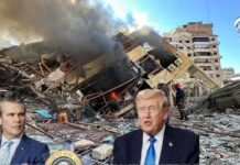 Cái “giỏi” của Trump và cái nghề… chọc tiết lợn!