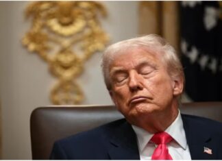 Mở nắp lon trùng (Kỳ 6): Ngủ đi anh mộng bình thường