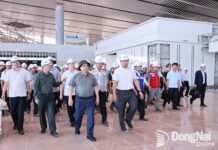 Tỷ lệ lượt khách nội địa và quốc tế ở các sân bay vùng