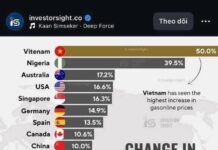 Chính phủ Việt Nam sẽ phải cúi đầu cầu cứu họ