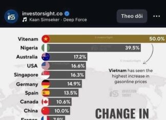 Chính phủ Việt Nam sẽ phải cúi đầu cầu cứu họ