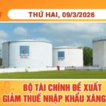 Cần giảm 50% thuế liên quan xăng dầu, trích Quỹ bình ổn