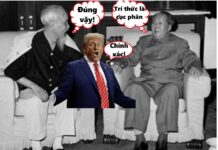 “Trí thức” là gì? Ai là trí thức? (Phần 2)