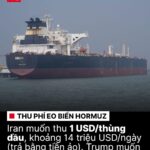 Thiên hạ đại loạn dã hảo (Kỳ 3)