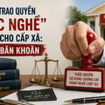Chúng ta có đang lệch khỏi xu thế chung của Nhà nước pháp quyền?