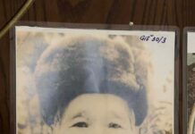 Mai Du Lân và Thực Nghiệp Dân Báo (Kỳ 2)