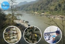Bắc Trung bộ sẽ là vùng hứng chịu ô nhiễm arsenic nặng nhất Đông Nam Á từ các mỏ đất hiếm