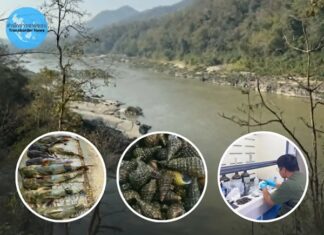 Bắc Trung bộ sẽ là vùng hứng chịu ô nhiễm arsenic nặng nhất Đông Nam Á từ các mỏ đất hiếm