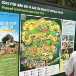 Mùi thời cuộc