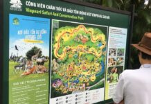 Mùi thời cuộc