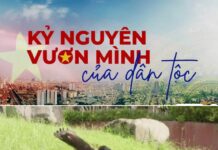 “Giáo phái an ninh”: Khi “thiên hạ” trở thành “công an hạ”