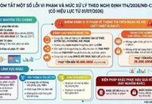 Một số chi tiết đáng lưu ý về Nghị định 174