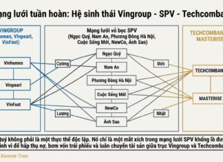Nguồn gốc công ty Ngọc Quý trong thương vụ mua tài sản VinFast ở Việt Nam
