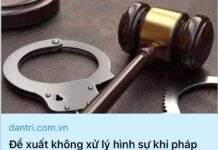 Không hình sự hóa quan hệ kinh tế không phải là nới lỏng kỷ cương