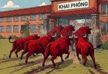 Bước vào “kỷ nguyên mới” như thế hay sao?