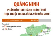 “Trực thuộc trung ương”