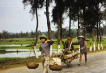 Tại sao người miền Bắc ngày xưa ăn con gà cũng phải giấu?