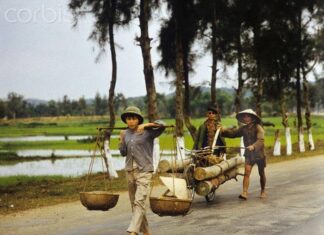 Tại sao người miền Bắc ngày xưa ăn con gà cũng phải giấu?