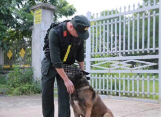 Thi lại ở Tuyên Quang: Đến chó cũng phải đi coi thi