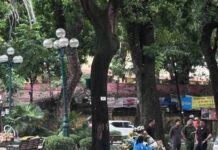 Gen Z Việt Nam và những chuyện lớn hơn phía trước