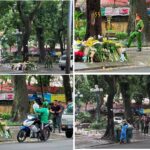 Gen Z Việt Nam và hành trình đòi minh bạch