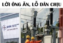 Bài 1: Những vấn đề thuộc thế hệ tương lai (Gen Z?)