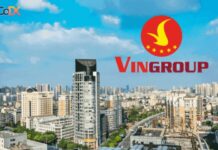 Bài 6: Những vấn đề thuộc thế hệ tương lai (Gen Z?)