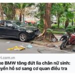 Tản mạn chuyện tai nạn ở gốc cây