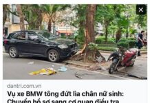 Tản mạn chuyện tai nạn ở gốc cây